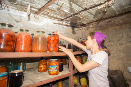 DIY Basement Root Cellar Image